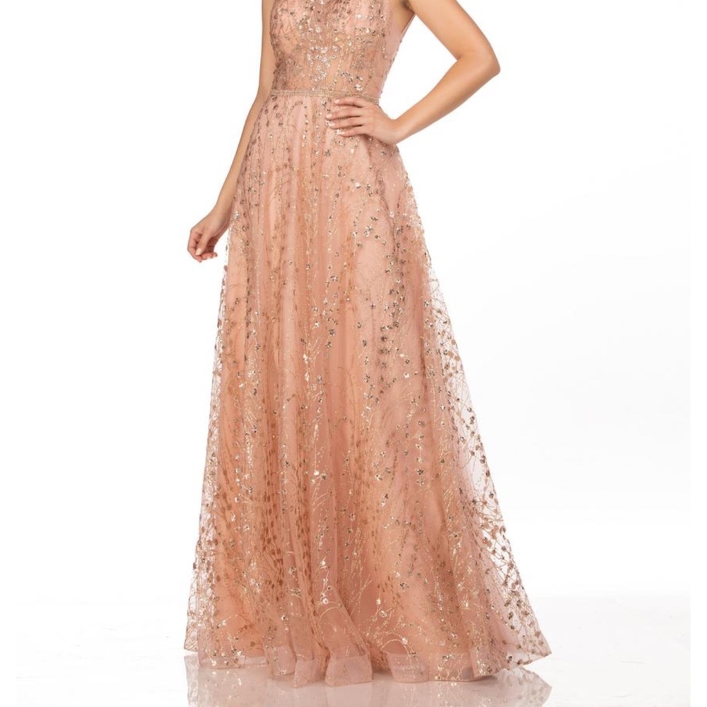 Abby Paris gown size 4